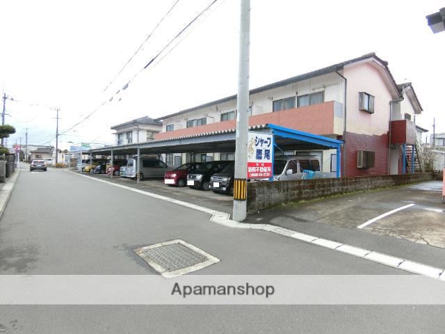 シャープ鷹尾