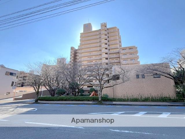 サーパス中央公園(3LDK/11階)