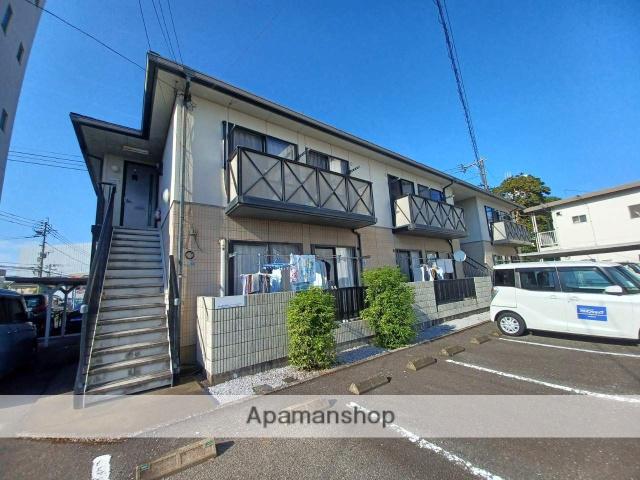 ディアスチェリー