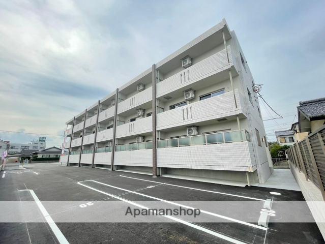 ナガエ フィールド