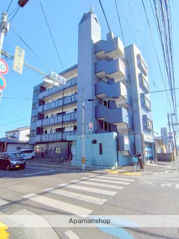 21コスモス丸山