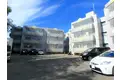 リトルウィング