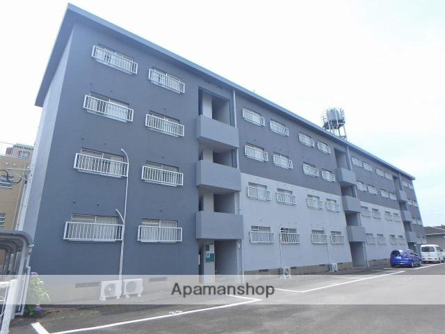 サルヴァトーレ柳丸