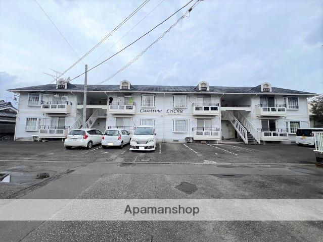 カゼッティーナレイチェ