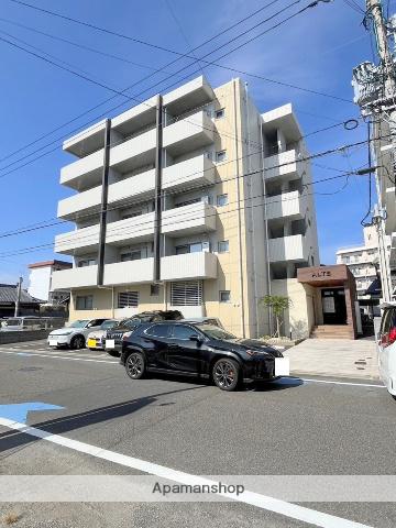 ALTE MEISTER カメリア