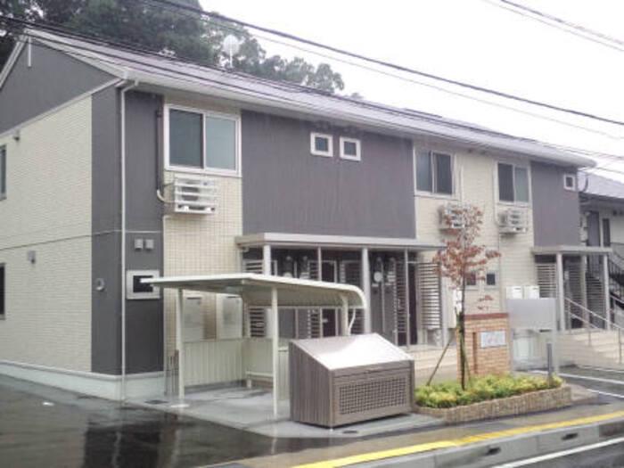 コルナスヒル アイエフ