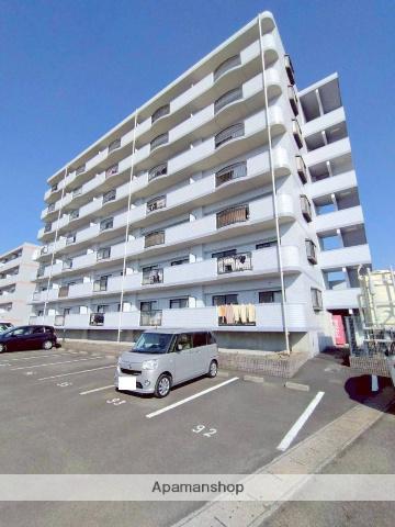 ピーチフローレⅢ