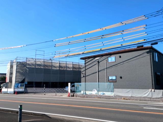 アベリア・ルル Ⅱ