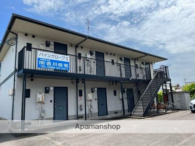 パイングローブ