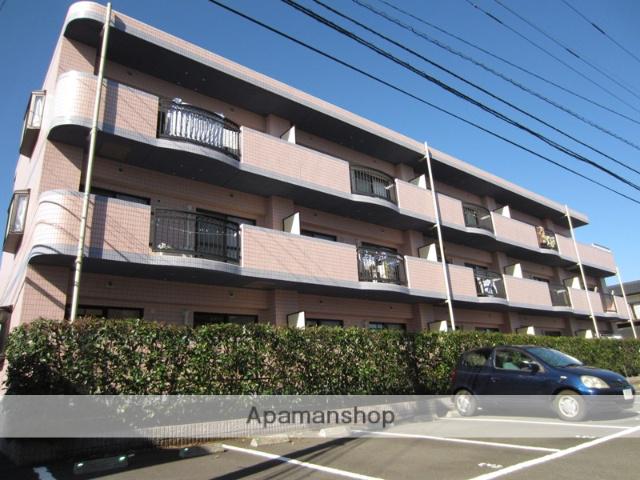 ピーチフローレⅤ