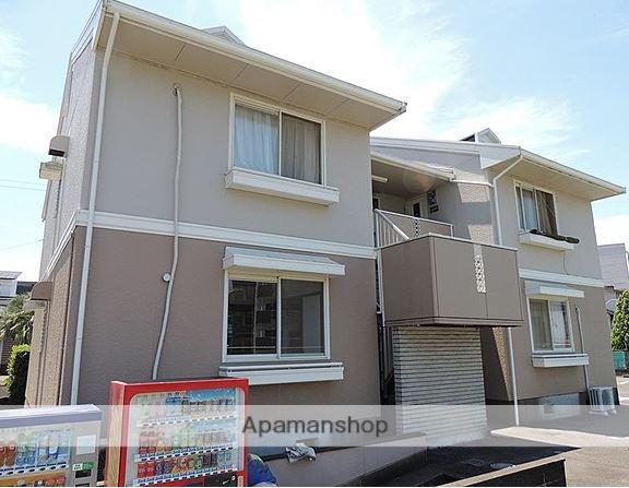 セジュールコバエ