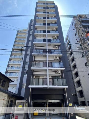 ステラ11