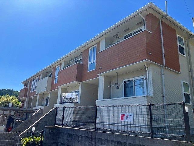 グリーンスプラウトC