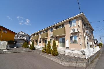 スウィート ミモザ