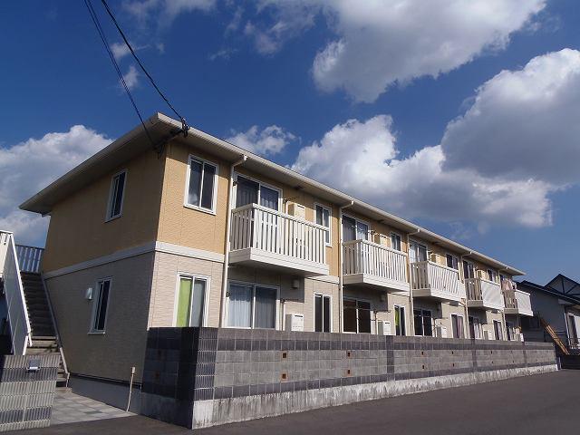 サンフラワー寿