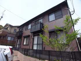 エレガンスリリー