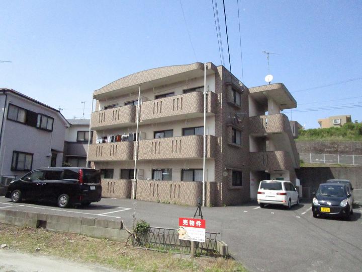 プティレカンIZUMI