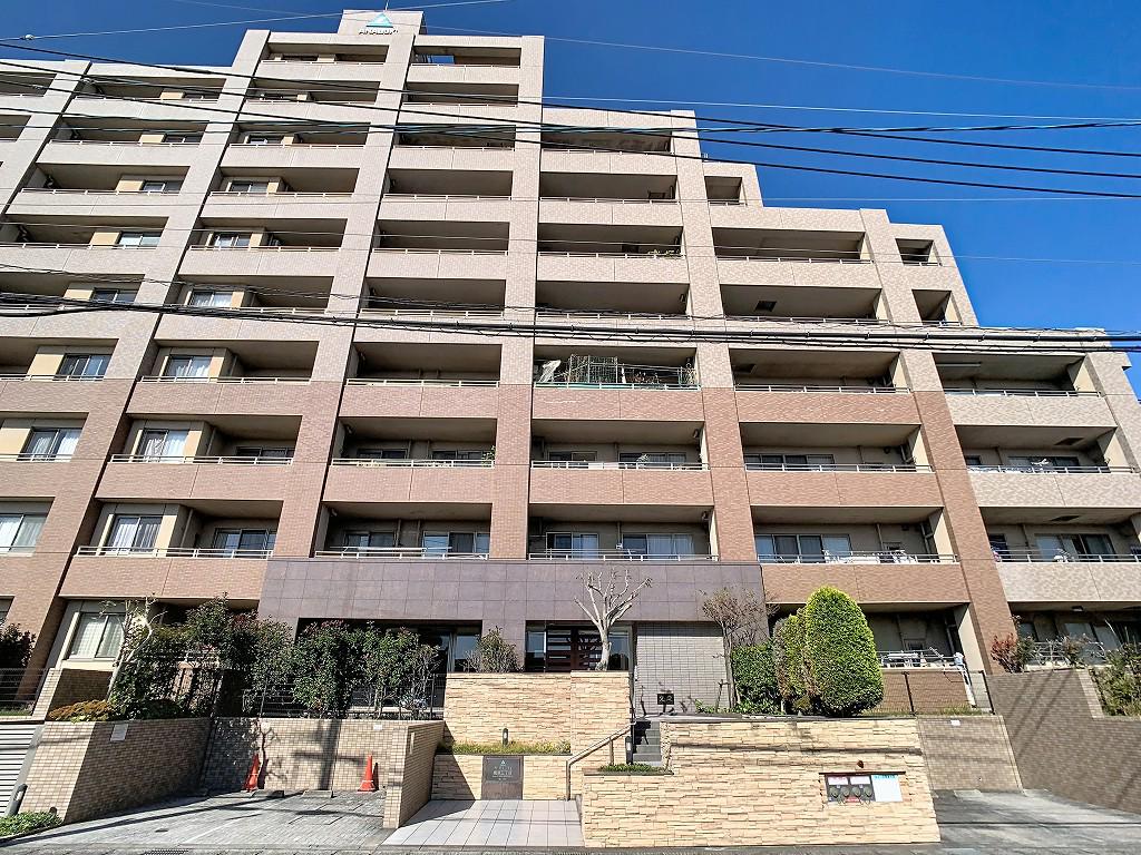 サーパスシティ紫原3丁目(3LDK/8階)