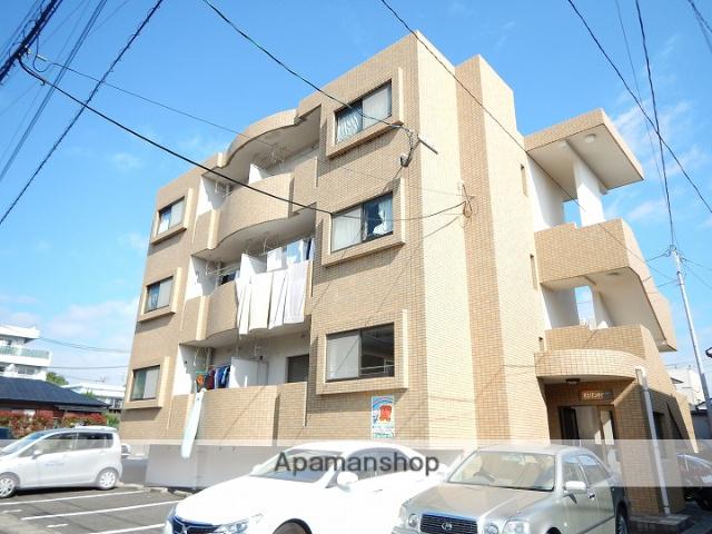 エモリエント紫原