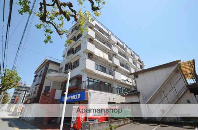 ホワイトシーガル