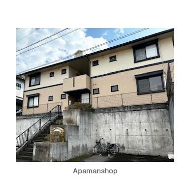 ハイカムール ルミ