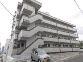 パープルハイム(3DK/4階)