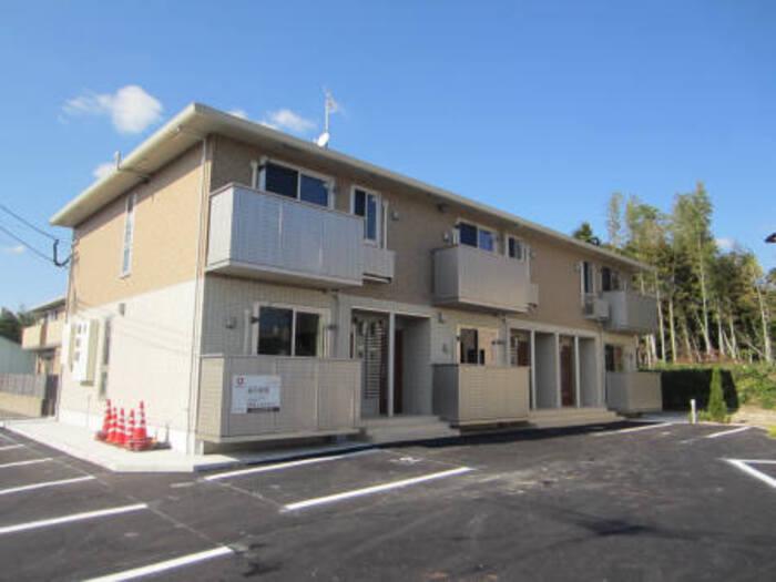 セントポーリア