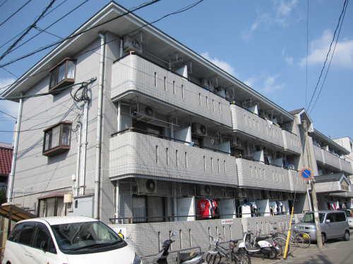 ドミール郡元