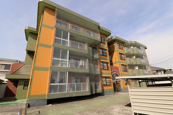 グリーンシールズ・オコ