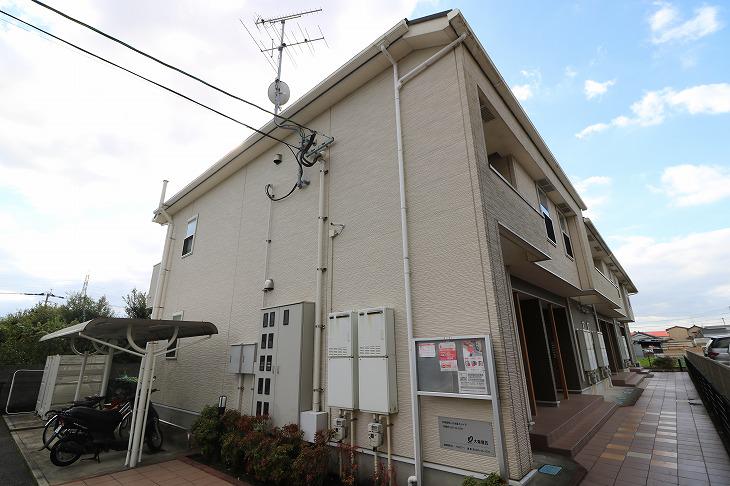 エテルノサピーYN