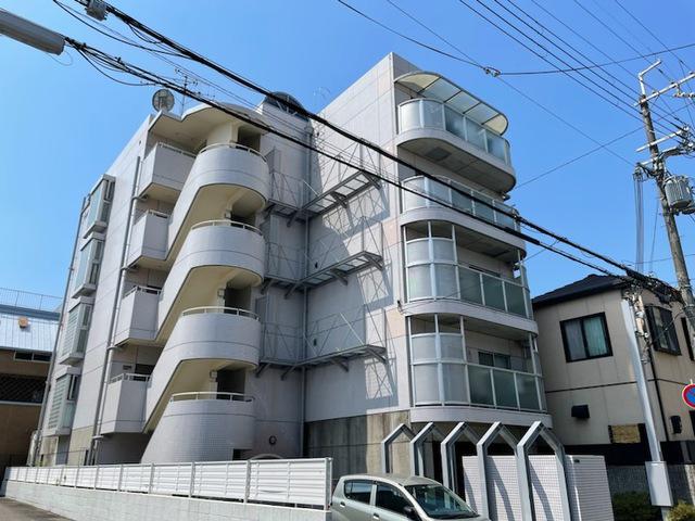 シロハイヌ武庫之荘