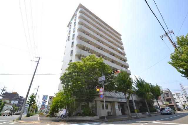 シロハイヌ名神町