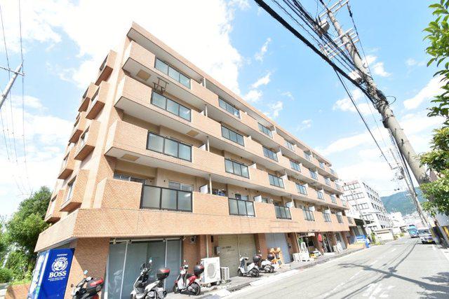 シロハイヌ吉田