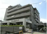 第5清涼マンション