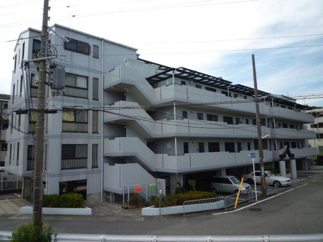 ベルヴェデーレ利倉