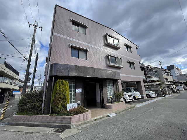 シロハイヌ稲葉荘