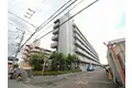 コンフォートグリーン
