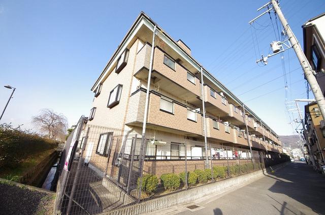 アムール新池島
