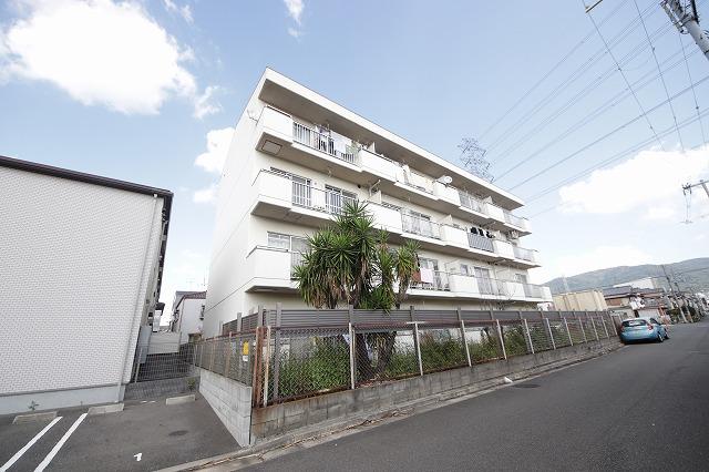 BELONG東花園