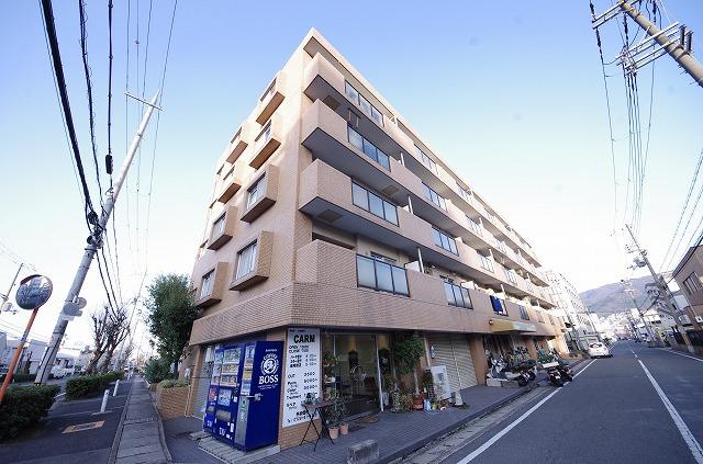 シロハイヌ吉田