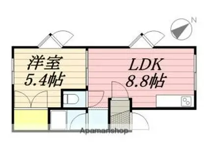 スカイハイツ(1LDK/1階)の間取り写真