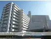 JR東海道・山陽本線 南草津駅 徒歩15分  築28年(3LDK/8階)