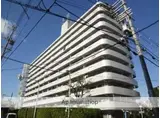 大阪メトロ千日前線 小路駅(大阪メトロ) 徒歩7分 11階建 築40年