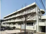 メゾンラフォーレ