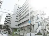 小田急江ノ島線 湘南台駅 徒歩3分 8階建 築39年