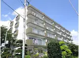 小田急小田原線 本厚木駅 徒歩58分 5階建 築33年