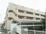 東急田園都市線 つきみ野駅 徒歩13分 4階建 築37年