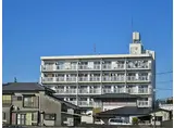 伊豆箱根鉄道駿豆線 三島広小路駅 徒歩29分 5階建 築42年