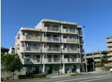 土方マンション