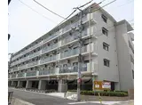 JR片町線(学研都市線) ＪＲ三山木駅 徒歩6分 5階建 築3年